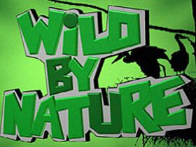 Wild by Nature  Fou de Nature